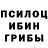 Псилоцибиновые грибы MAGIC MUSHROOMS Islom M