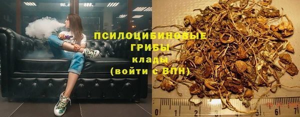 мет Бородино